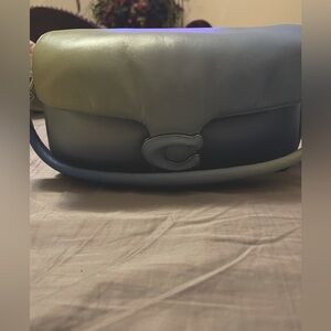 Coach Pillow Tabby 26